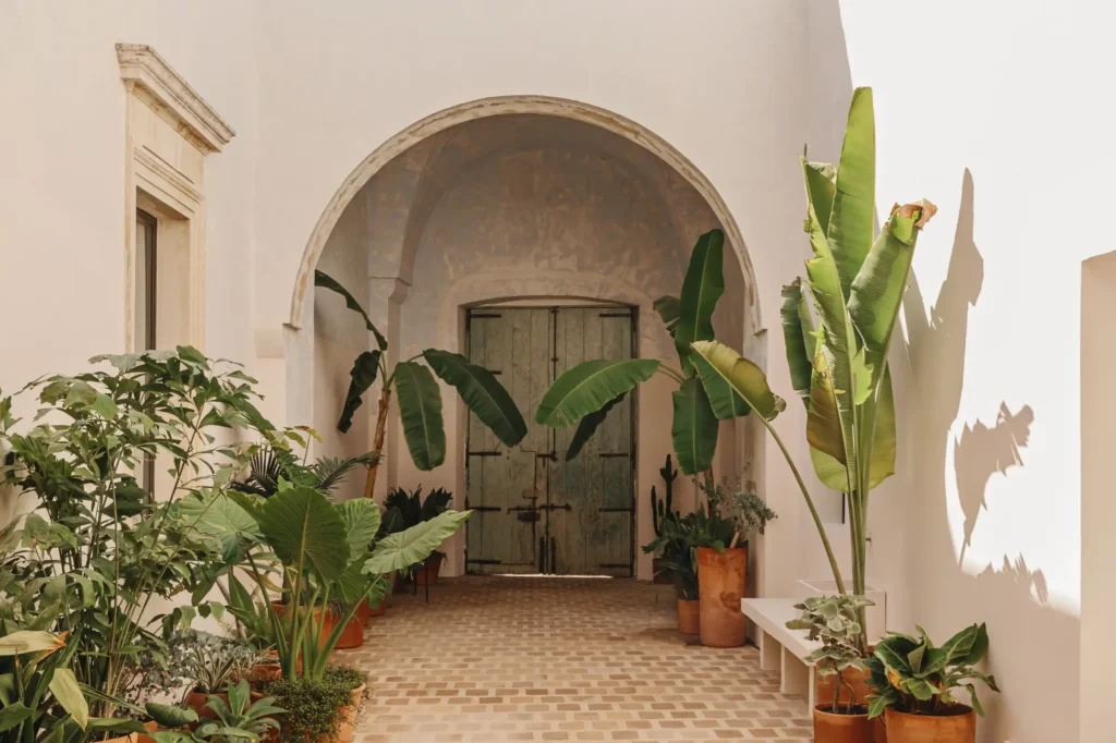 Palazzo San Vito, Puglia: Un Restauro Nostalgico 3 Palazzo San Vito Puglia Un Restauro Nostalgico 15