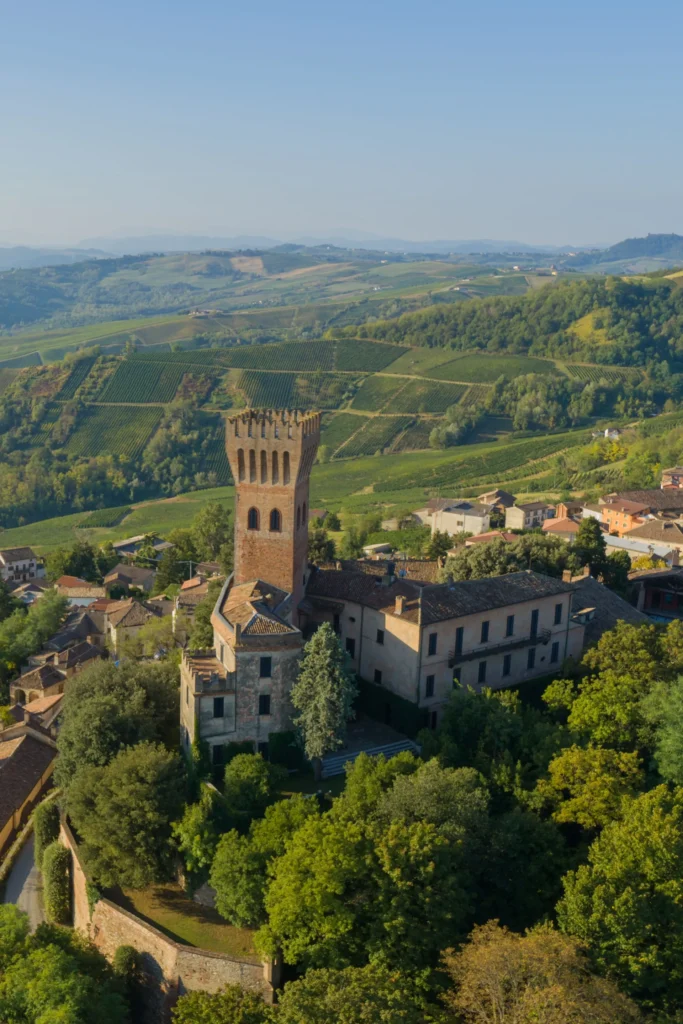 castello cigognola web